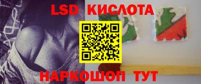 Альфа ПВП Ставрополь