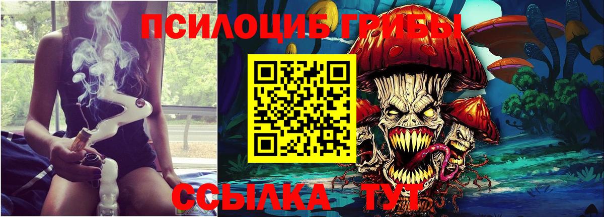 Вологда  Галлюциногенные грибы Magic Shrooms  Вход с VPN 
