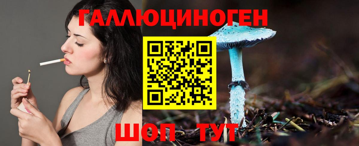 Псилоцибиновые грибы мицелий Вологда